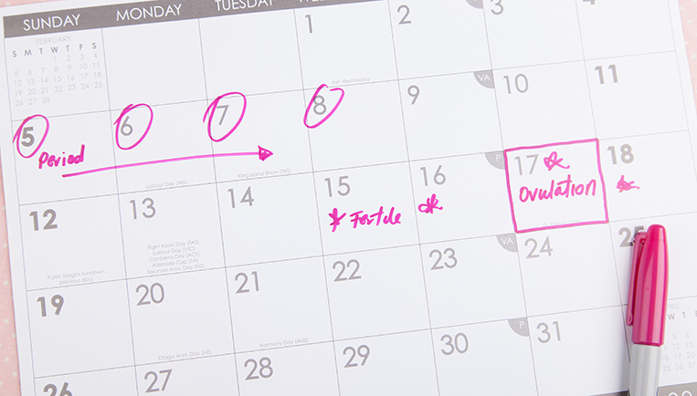 overgang, kalender, menstruatie, eisprong